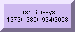 Click here for Report