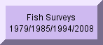 Click here for Report