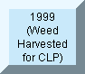 Volunteers cut weeds in May 1999